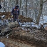 Traži se smena direktora Nacionalnog parka Fruška gora: Popločava šumsku stazu na Stražilovu bez potrebnih dozvola 9
