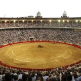 Firma organizator "Koride" iz Sevilje nudi besplatne karte deci mlađoj od osam godina 4