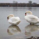 U Srbiji danas umereno oblačno i malo toplije vreme sa sunčanim intervalima 11