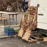 Koliko koštaju badnjak i posna trpeza uoči Badnjeg dana? 12