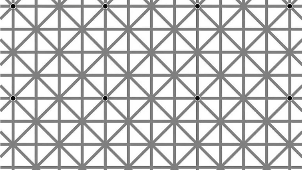 Na ilustraciji se nalazi 12 crnih tačaka: Mozak ne dozvoljava da ih vidimo sve odjednom 1