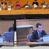 Veselinović: U Evropskom parlamentu smo ponovili da je neophodna nezavisna međunarodna istraga 7