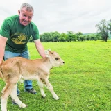 Milenko Plavšić oteran sa Krčedinske ade: "Moram da platim skoro 10.000 evra jer su moje četiri krave navodno ušle na zemljište koje je zakupio Marijan Rističević" 8