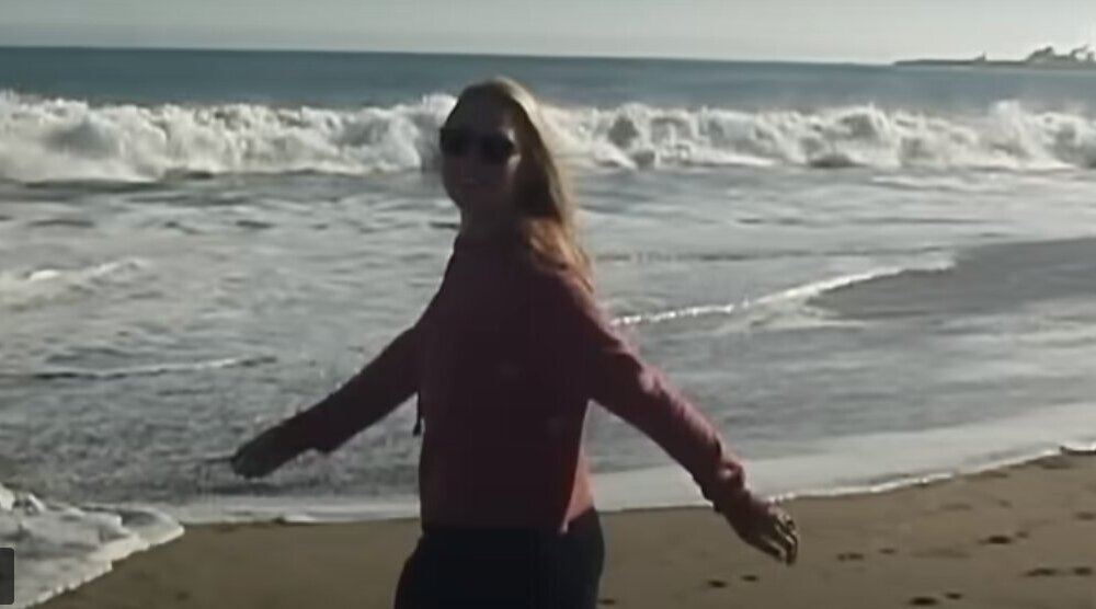 Na Netflix stiže dokumentarac o tragičnom slučaju koji je mnoge podsetio na psihološki triler Gone Girl 1