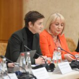 Brnabić: Obrazovni sistem prioritet i buduće Vlade 10