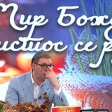 “Vučić misli da je sve i svja, pa je tako 'pao' termin baš za Božić”: Sagovornici Danasa o gostovanju predsednika Srbije na Pinku 2