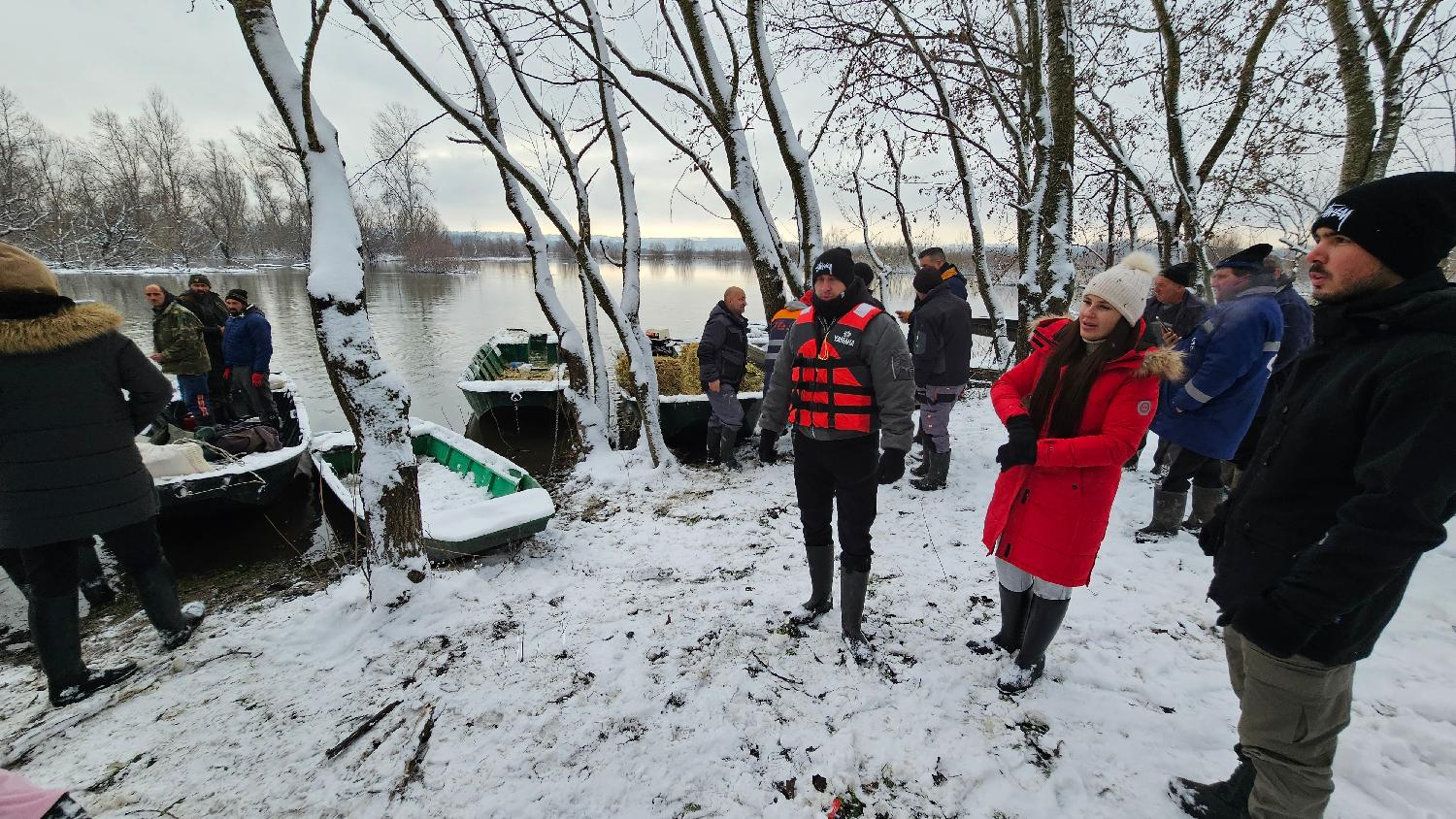 Spasena većina krava sa Krčedinske ade, sutra spasavanje konja (FOTO/VIDEO) 8 Spasena većina krava sa Krčedinske ade, sutra spasavanje konja (FOTO/VIDEO) 8