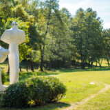 Akcija čišćenja u kragujevačkim Šumaricama 12