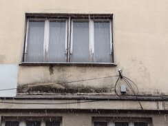 "Stanje je takvo da su i pacovi pocrkali": Pionir, jedna od najpoznatijih zgrada u Kragujevcu, propada od temelja do krova (FOTO) 2