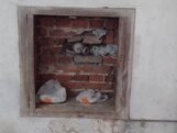 "Stanje je takvo da su i pacovi pocrkali": Pionir, jedna od najpoznatijih zgrada u Kragujevcu, propada od temelja do krova (FOTO) 5