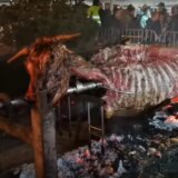 Četiri bika na ražnju, a ponoć nisu dočekali: Zašto je propao doček Srpske nove godine u Grockoj? 5