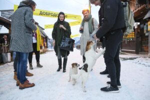 Hvala vam što pravite filmove o sirotinji i saosećate sa ljudima izbačenim na margine društva: "Zlatno jaje" 17. Kustendorfa reditelju Mihailu Gorobčuku 3 Hvala vam što pravite filmove o sirotinji i saosećate sa ljudima izbačenim na margine društva: "Zlatno jaje" 17. Kustendorfa reditelju Mihailu Gorobčuku 2