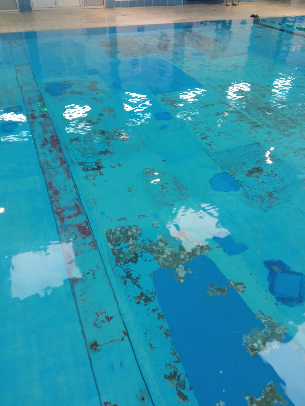 "Prljavi smo, a koža nam smrdi": U SC "Čair" radi sveže ofarban bazen, a kupačima koji su se ofarbali bojom dat je razređivač "da se očiste" 2