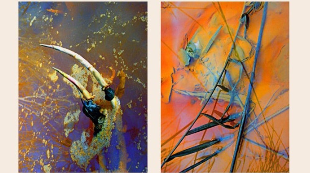 U Pozorišnom muzeju u Zaječaru izložba Đorđa Ilića pod nazivom "U potrazi... Sjaj u svemu" 1