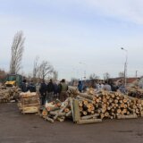 Krešendo od kojeg iskreni pravoslavci zaziru: Kako smo od svih običaja za Badnji dan najviše zavoleli seču i paljenje? 9