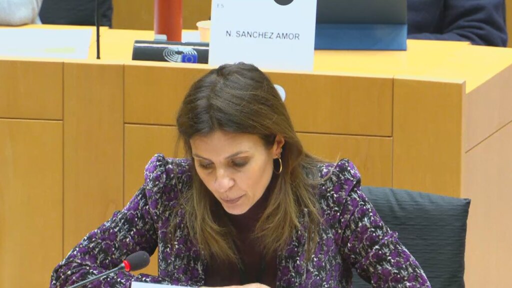 Makovec na sednici Odbora EU za spoljne poslove: Srbija će morati da ispravi izborni proces 2