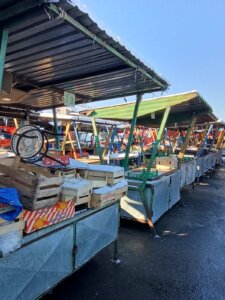 "Manite se, još kere ne spavaju sa mačkama": Reporterka Danasa s Pančevcima na pijaci posle katastrofičnih najava ledenih dana u Srbiji 2