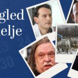 Evakuacija životinja s Krčedinske ade i otkazi u NIN-u: Vesti koje su obeležile sedmicu za nama 10