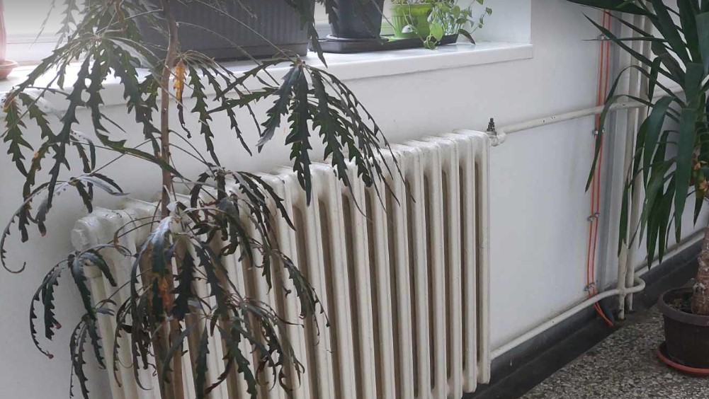"Trenutna temperatura u učionicama je od 15 do 20 stepeni, dok je u hodnicima hladnije": Opet problem sa grejanjem u školi u Zaječaru 3