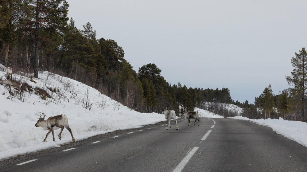 Ovako izgleda zima u selu u Švedskoj, u kom je izmereno -41.6°C 1