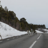 Ovako izgleda zima u selu u Švedskoj, u kom je izmereno -41.6°C 4