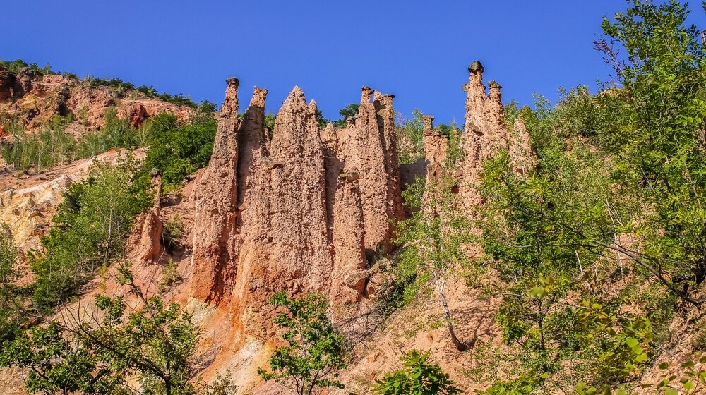 Vlada proglasila Park prirode "Radan" što će omogućiti zaštitu šumskih staništa i očuvanje divlje faune 1