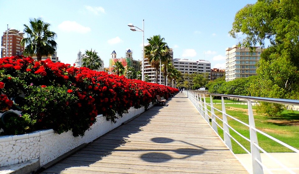 Zašto je Valensija postala ovogodišnja "Zelena prestonica Evrope"? 1