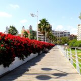 Zašto je Valensija postala ovogodišnja "Zelena prestonica Evrope"? 13