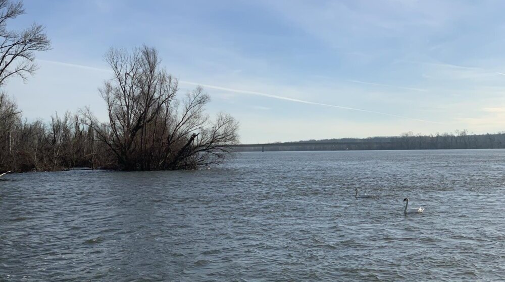 Ministarstvo o kvalitetu vode Dunava: Analizirani parametri kreću se u propisanim granicama 1