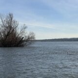 Ministarstvo o kvalitetu vode Dunava: Analizirani parametri kreću se u propisanim granicama 1