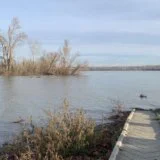 Agencija za zaštitu životne sredine objavila rezultate analiza vode iz Dunava nakon potonuća barže 10