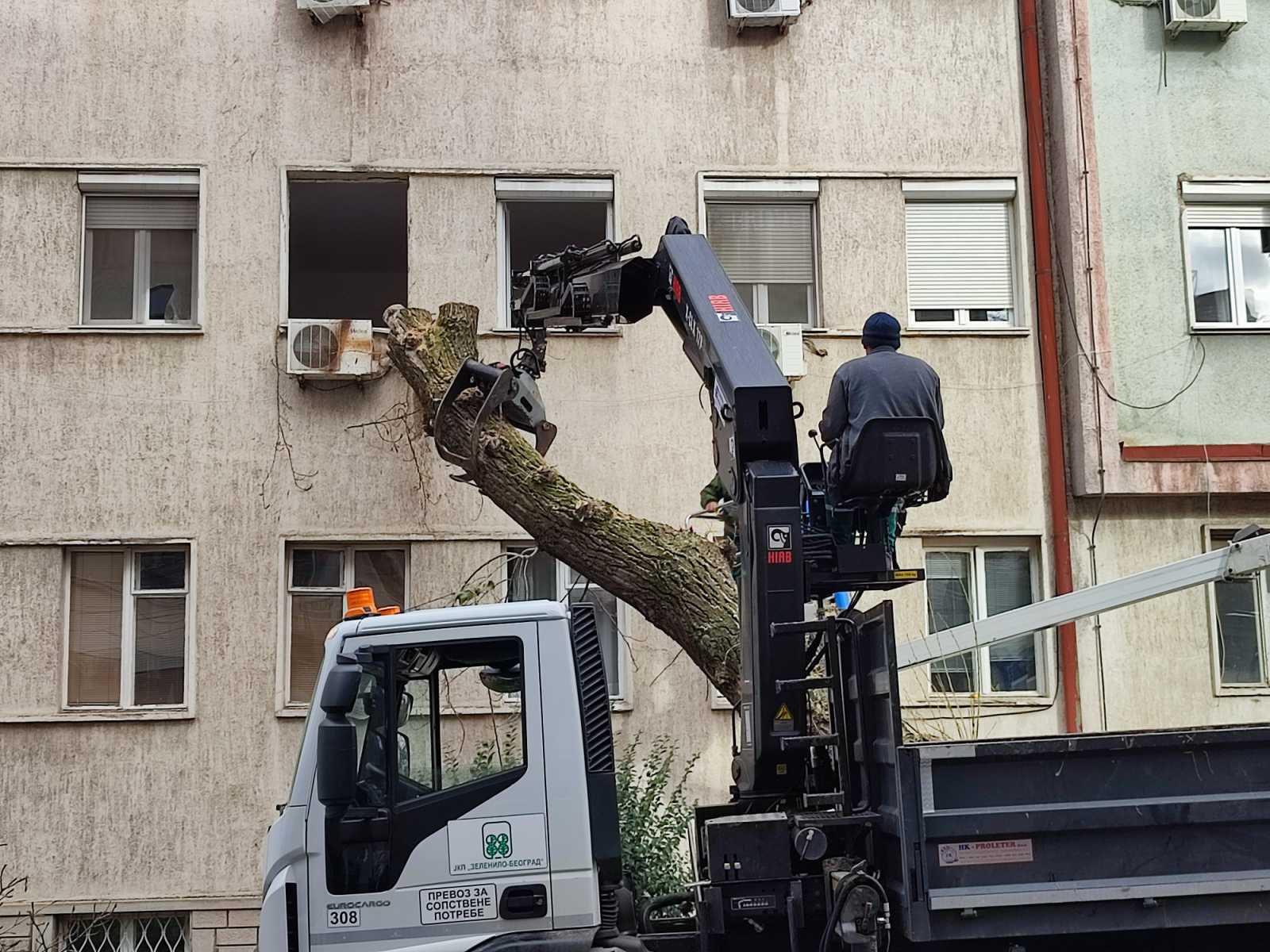 Drvo palo na zgradu porodilišta KBC Zvezdara (FOTO) 2