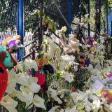 Porodica devojčice ubijene u "Ribnikaru" osnovala Fondaciju "Angelina" 2