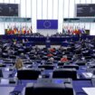 Predstavljanje poslaničke grupe u Evropskom parlamentu: Identitet i demokratija – desničari i populisti 9