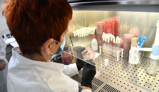 U Hrvatskoj i Rumuniji potvrđeni prvi slučajevi gube 10