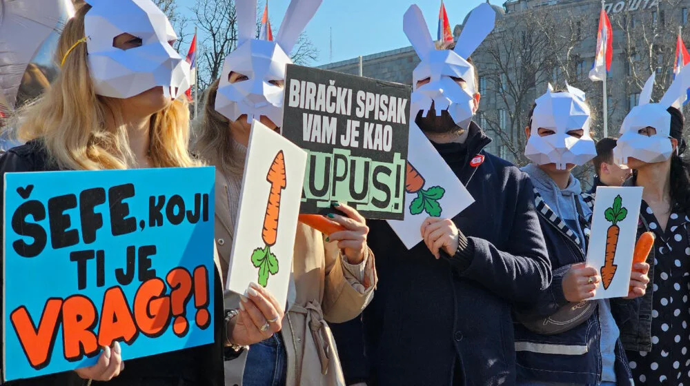 Šta je SviĆe: Simbol zeca i dvostruko značenje u imenu 1