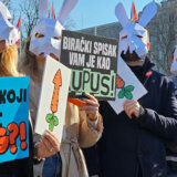 Šta je SviĆe: Simbol zeca i dvostruko značenje u imenu 8