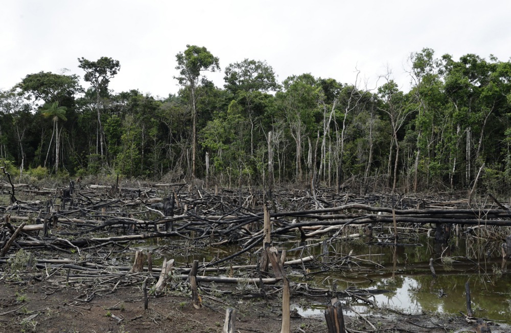 Amazonske prašume ili savana sa belim peskom – kolaps u najavi do 2050. godine 2