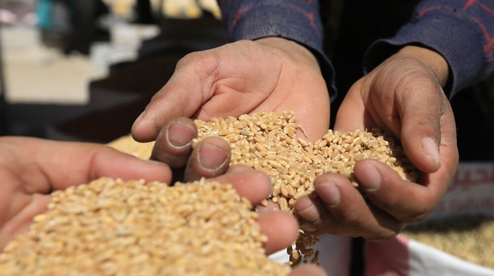 "Kazniti odgovorne": Uništili 160 tona ukrajinskog žita na poljskoj železničkoj stanici 1