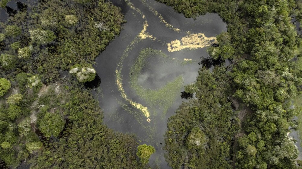 Amazonske prašume ili savana sa belim peskom – kolaps u najavi do 2050. godine 10