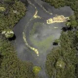 Amazonske prašume ili savana sa belim peskom – kolaps u najavi do 2050. godine 4