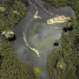 Amazonske prašume ili savana sa belim peskom – kolaps u najavi do 2050. godine 5