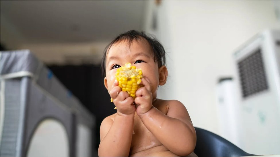 Tvrdi se da postoji mnogo rizika i prednosti dozvoljavanja novorođenčadi da se hrani metodom „beba vođa dohrane", ali naučno istraživanje je pomešano