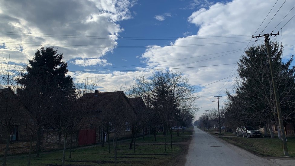 Spasavanje životinja sa Krčedinske ade: „Izgladnele su, nemoćne, samo leže, teško mi je da ih tako gledam" 8 Kovilj