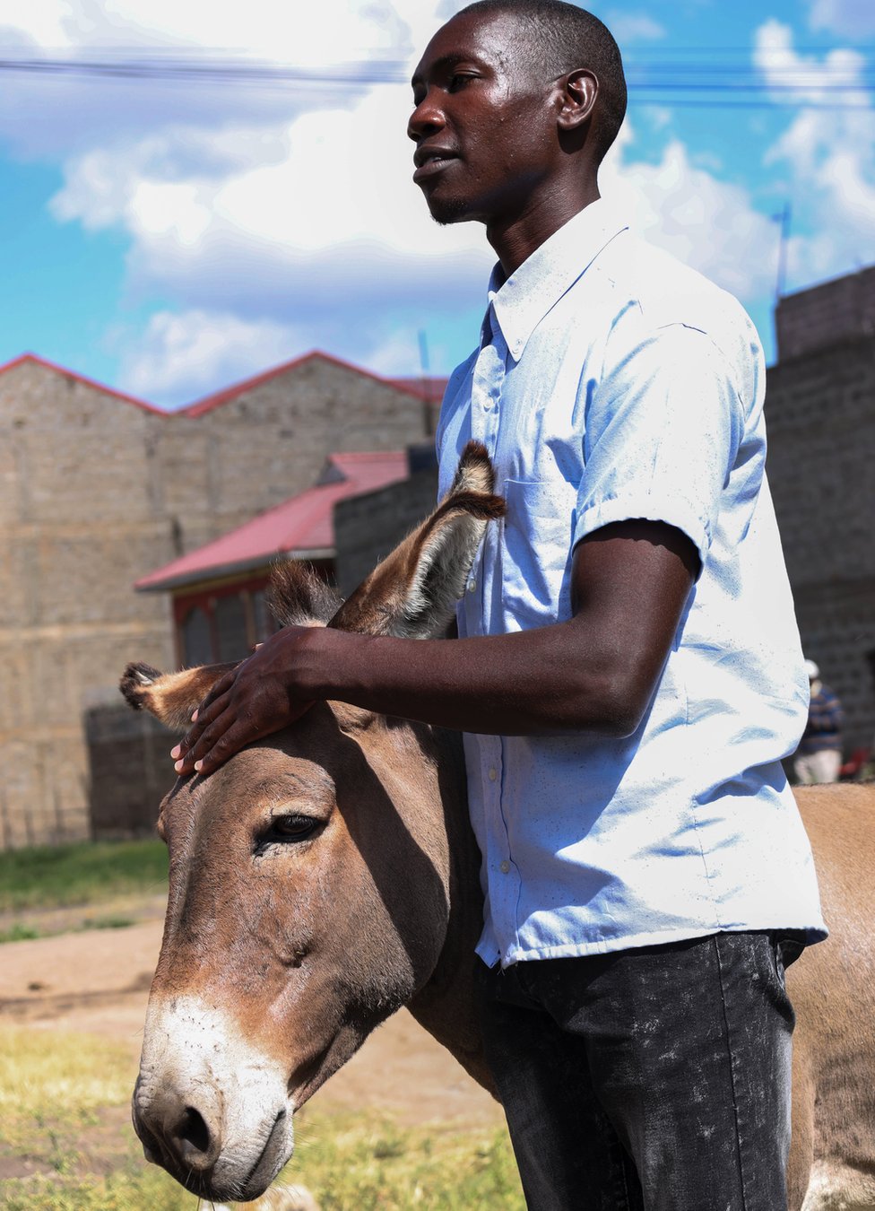 Stiv sa njegovim novim magarcem Džoj Laki