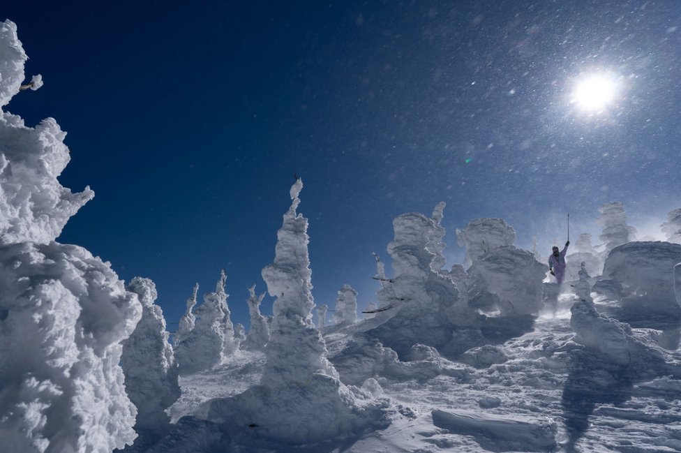 Japan, snežna čudovišta