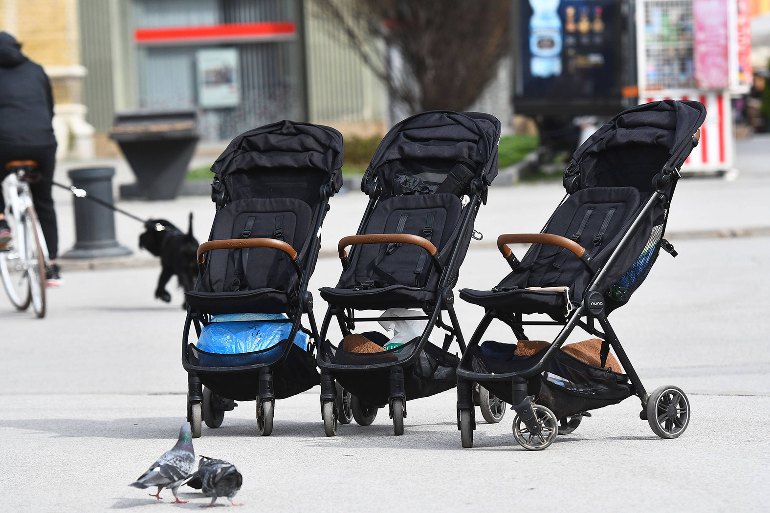 Aerozagađenje, trudnice i deca: Pulmolog Dragana Jovanović za Danas o posledicama zagađenja vazduha 3