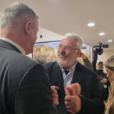 Branimir Nestorović