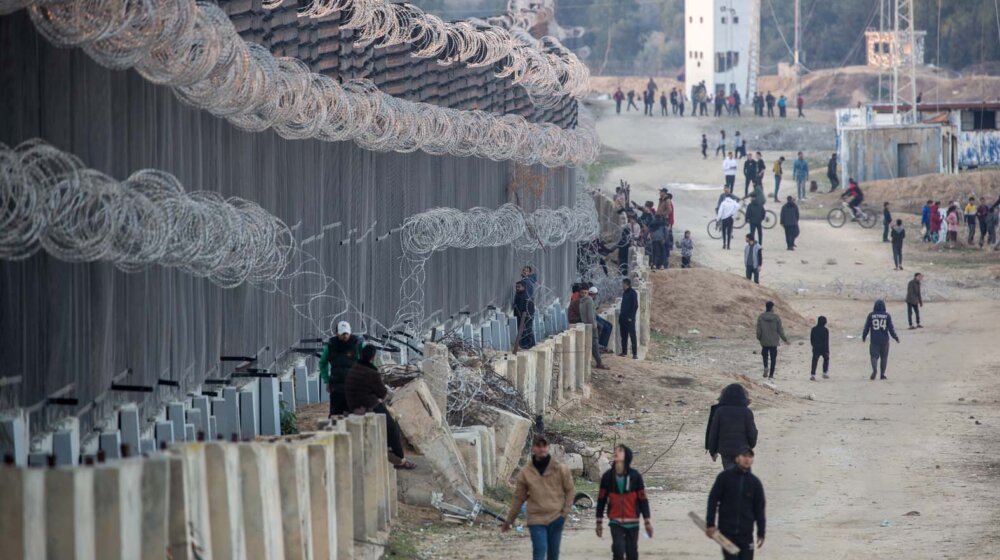 Portparol Hamasa: Taoci se bore za opstanak 1