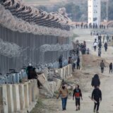 Portparol Hamasa: Taoci se bore za opstanak 3